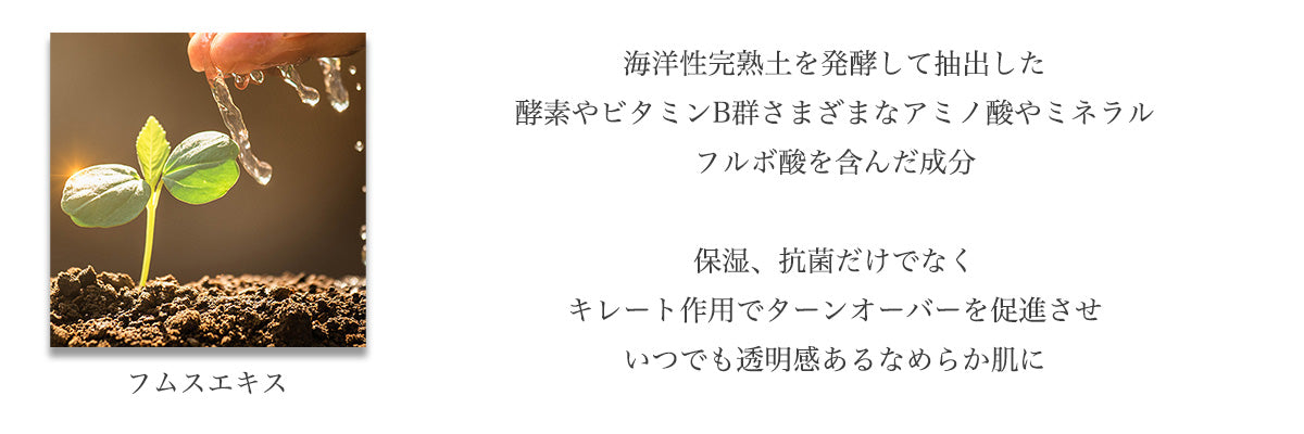 コンプリート セラム ローション – PARTIE